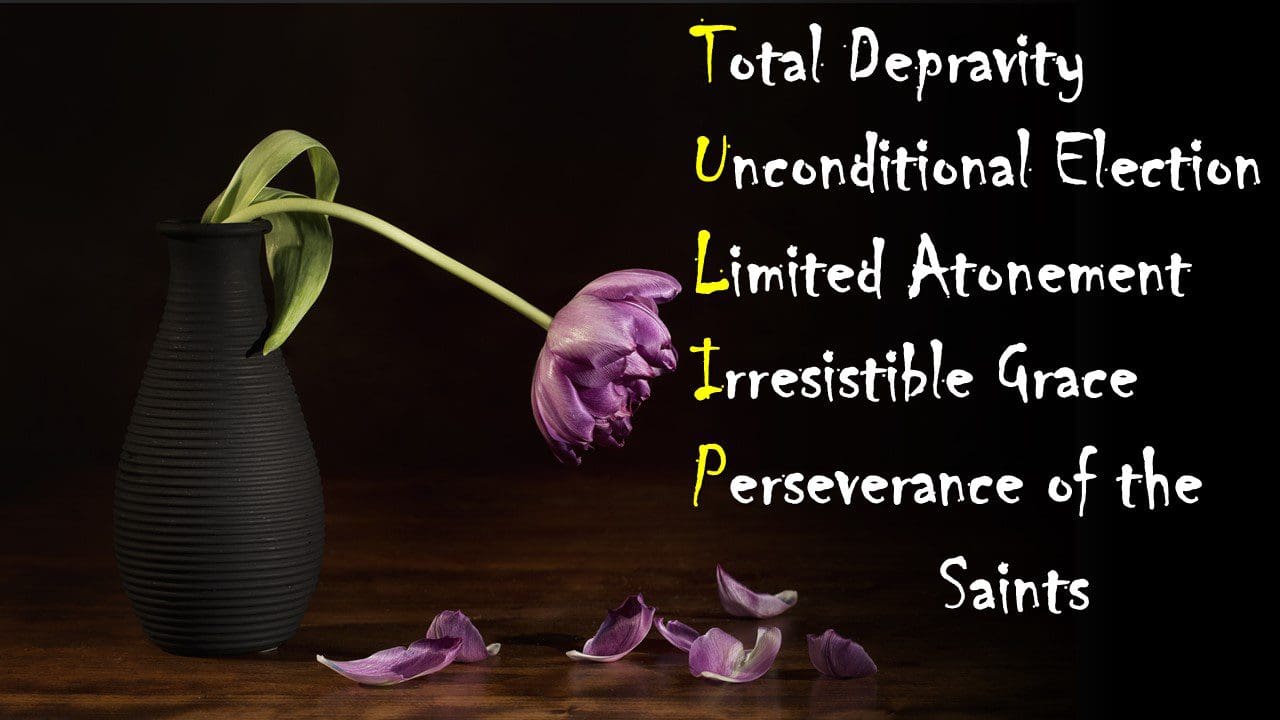 Explaining Calvinism’s T.U.L.I.P. 
