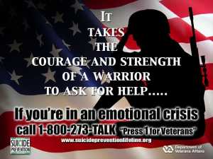Stop Veterans Suicides