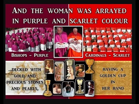 Bishops Purple Cardinals Scarlet